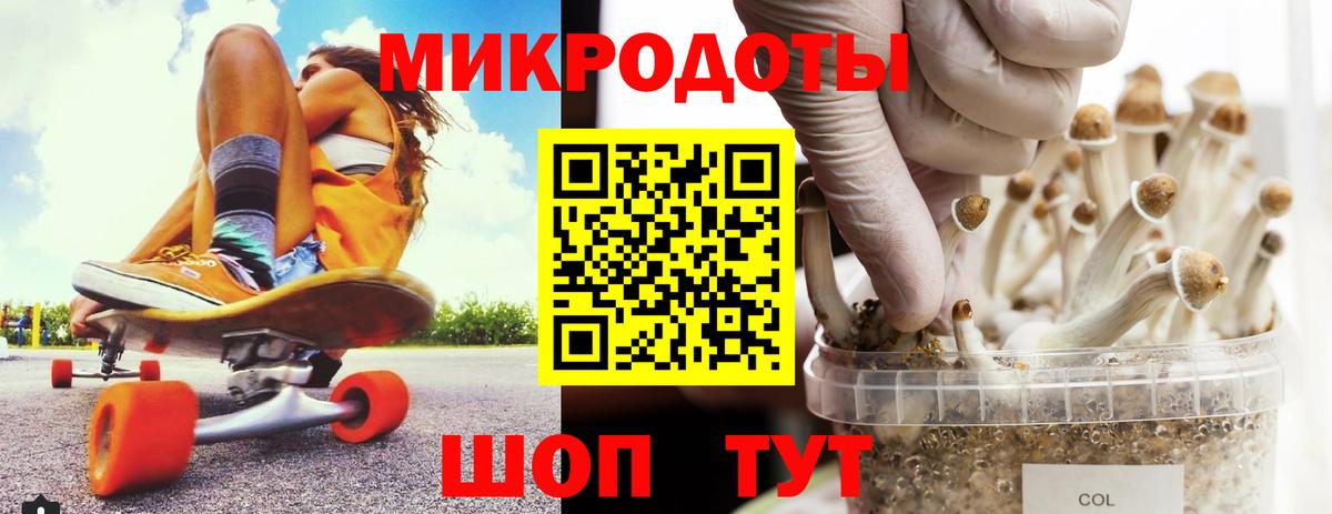 Псилоцибиновые грибы прущие грибы  Вход с VPN  Кизилюрт  Псилоцибиновые грибы GOLDEN TEACHER 